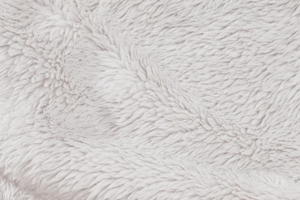 高解像度の毛皮毛皮で覆われた白いテクスチャ背景 — ストック写真
