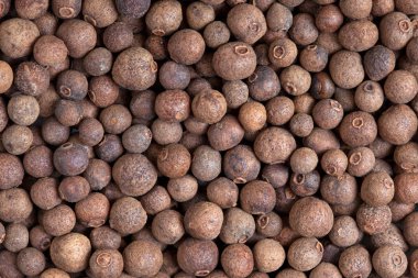 Allspice (jamaica pepper) clipart