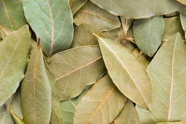 Bay Leaves background. clipart
