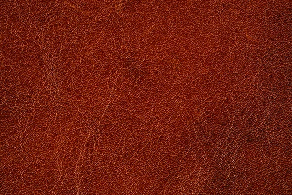 Wysokiej rozdzielczości brązowy skórzany tekstura tło — Zdjęcie stockowe