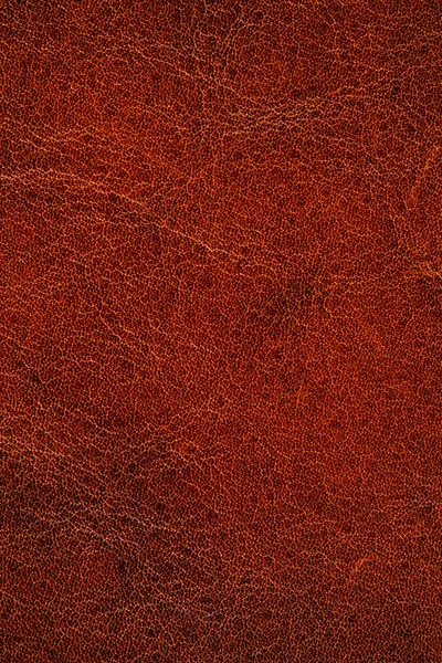 High resolution brown leather texture for background — Stock Photo, Image