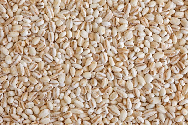 珍珠大麦 (去壳的大麦) — 图库照片