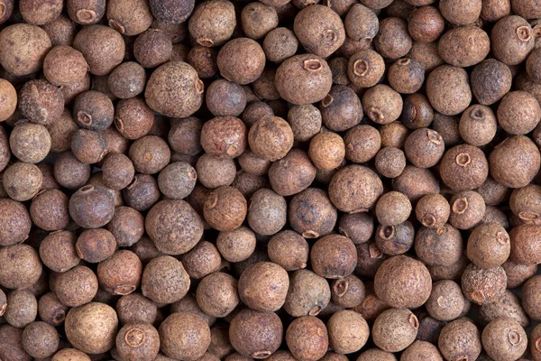 stock image Allspice (jamaica pepper)