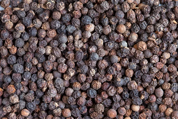 Black pepper (Piper nigrum) — Stock Photo, Image