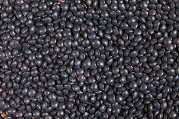 Lentilles noires de béluga — Photo