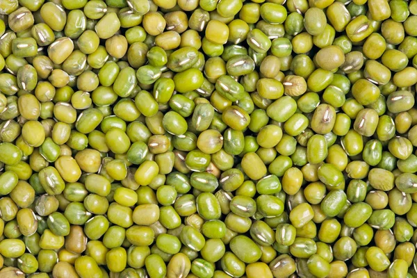 緑豆 — ストック写真