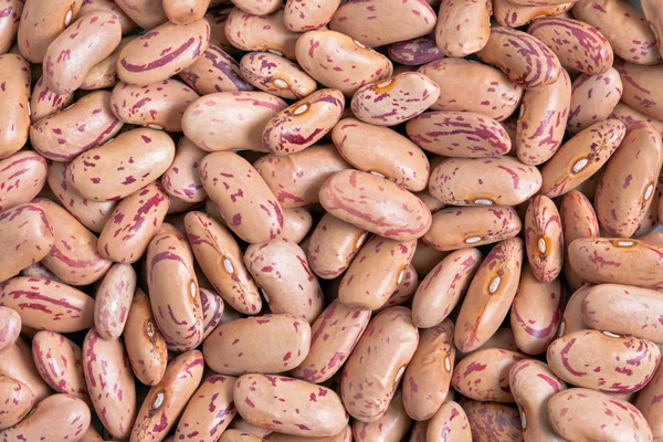Brusinkový fazole — Stock fotografie
