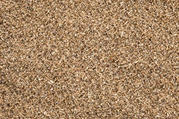Ground Coriander (Coriandrum sativum) background. — Stock Photo, Image