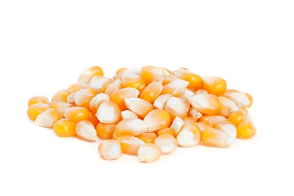Pile corn isolated on white background. — Stock Photo, Image