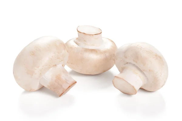 Čerstvé houby žampiony izolovaných na bílém pozadí — Stock fotografie