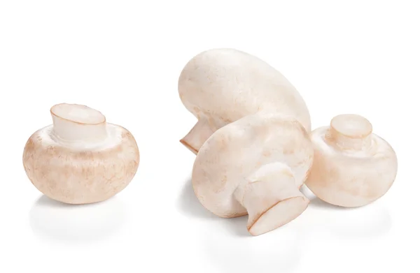 Cogumelos frescos champignon Isolado sobre um fundo branco — Fotografia de Stock