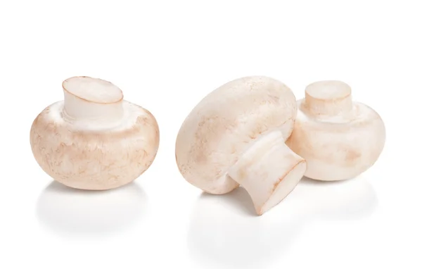 Funghi freschi champignon Isolato su sfondo bianco — Foto Stock