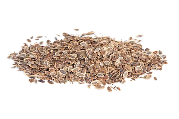 Pile Fennel seeds (Anethum graveolens) isolated on white backgro — Stock Photo, Image