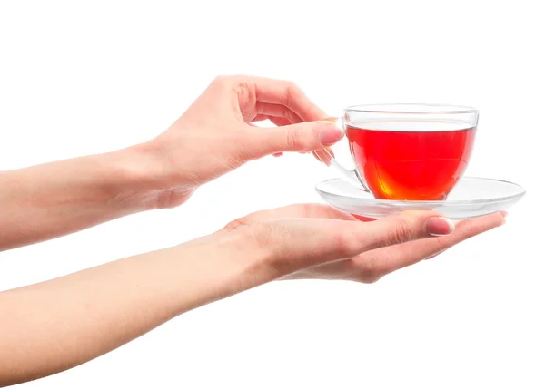 Bir fincan sıcak çay elinde tutan — Stok fotoğraf