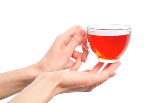 Holding a cup of warm tea in hands — Stock Photo, Image