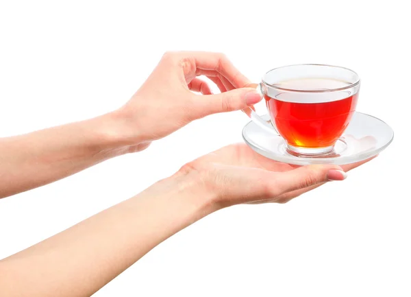 Holding a cup of warm tea in hands — Stock Photo, Image