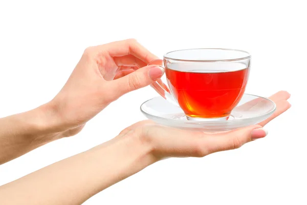 Segurando uma xícara de chá quente nas mãos — Fotografia de Stock