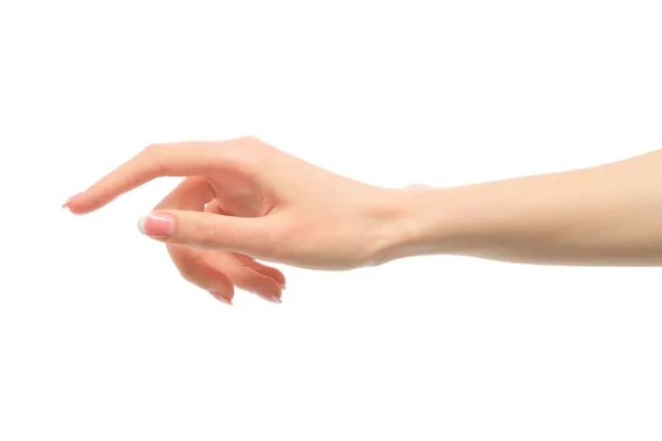 Рука красотки с французским маникюром, изолированным на белом бэкгро — стоковое фото