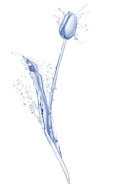 Тюльпановая вода — стоковое фото