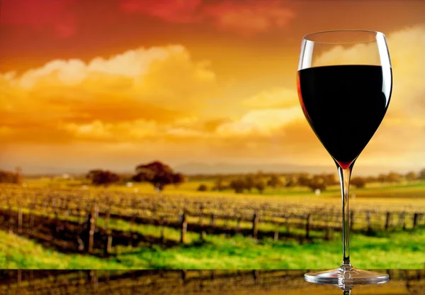 Glas wijn op de achtergrond van de wijngaard — Stockfoto