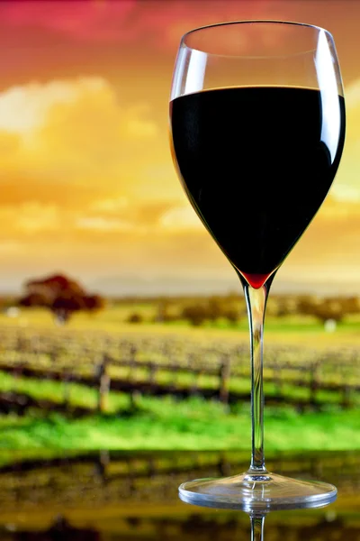 Copo de vinho no fundo da vinha — Fotografia de Stock