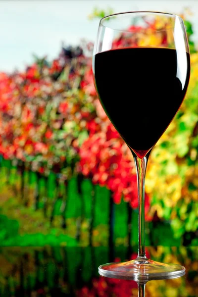 Glas Wein auf dem Hintergrund des Weinbergs — Stockfoto