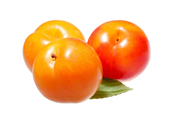 stock image Group of plums with leaf isolated on a white background