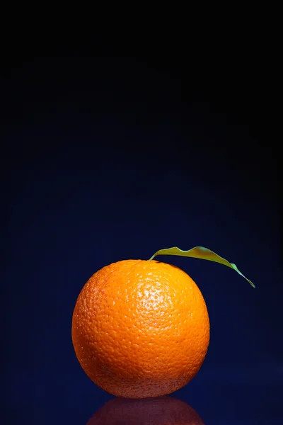 Fondo naranja oscuro — Foto de Stock