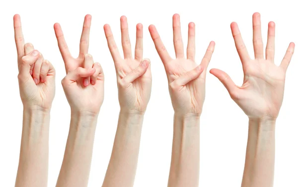 Подсчет женских рук (от 1 до 5) на белом фоне — стоковое фото