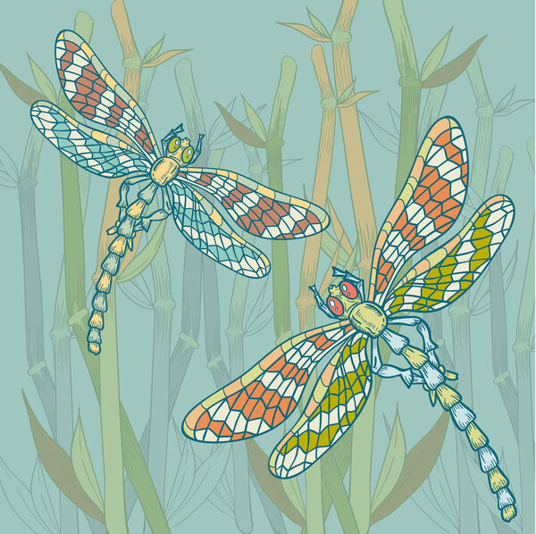 Dragonfly on the water plant background