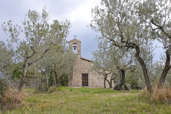 Эдикула в оливковой роще — стоковое фото