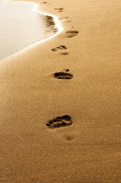 Fotspår i våt sand Beach — Stockfoto