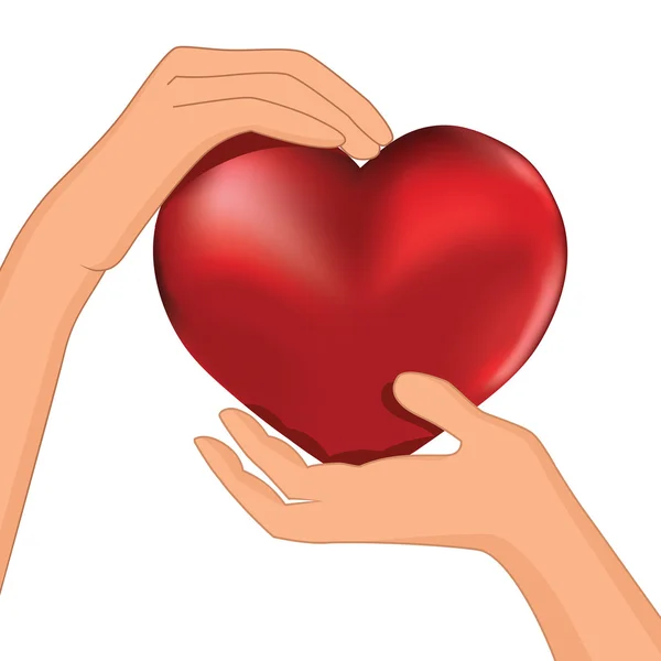 Pessoa segurar coração vermelho no vetor mão — Vetor de Stock