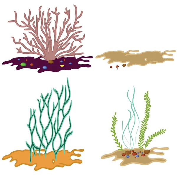 Algues isolées sur fond blanc — Image vectorielle