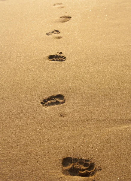 Fotspår i våt sand Beach — Stockfoto