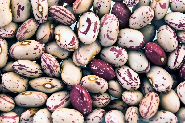 Cranberry beans as background — Stock Photo, Image