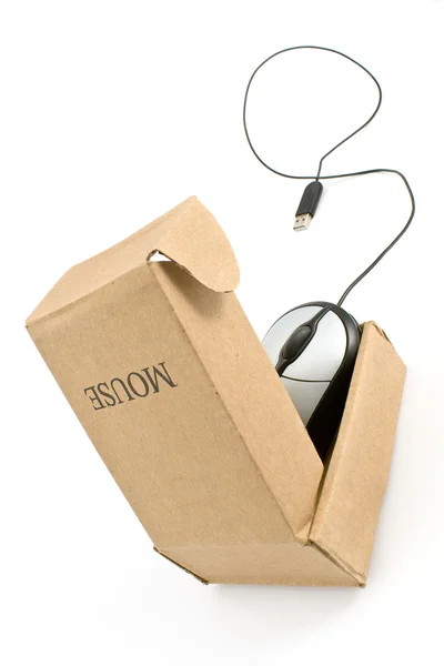 Computador rato em caixa de papelão — Fotografia de Stock
