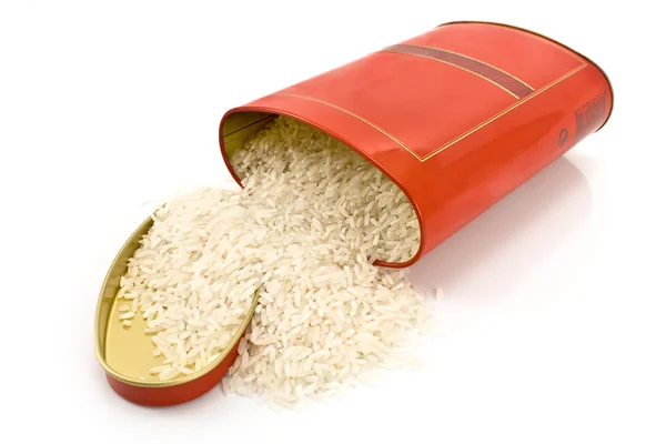 水稻在锡红框中 — 图库照片