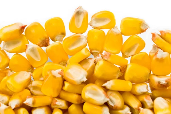 Semillas de maíz fondo — Foto de Stock