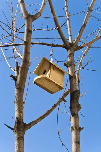 stock image Birdhouse on a tree