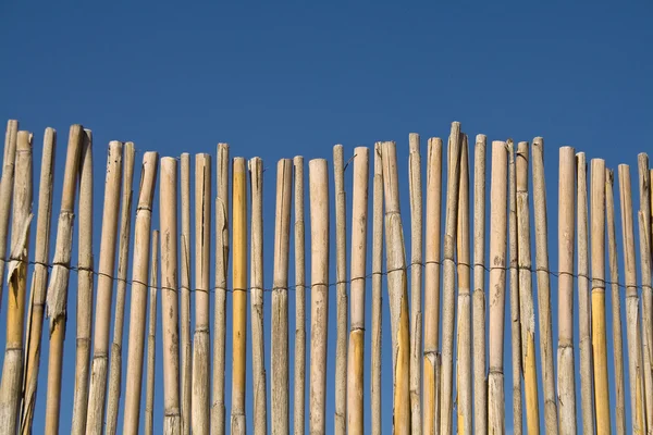 Текстура забора трости над голубым небом — стоковое фото