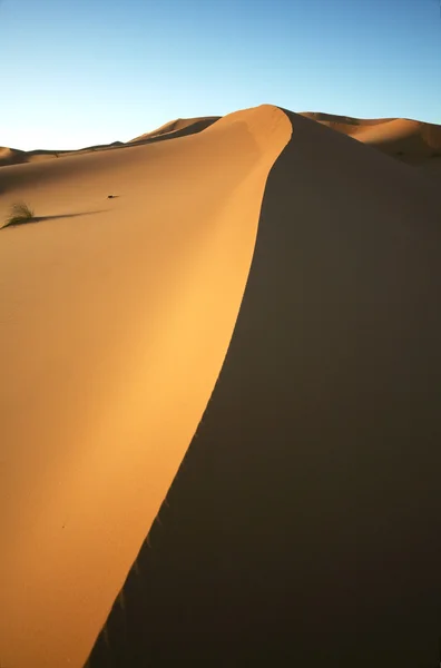 Dune di sabbia ombra — Foto Stock