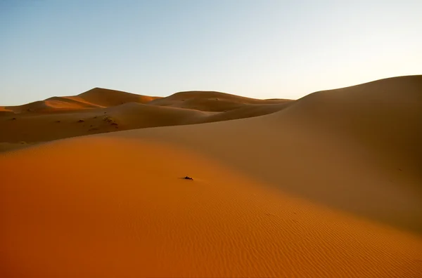 Dune di sabbia Fotografia Stock