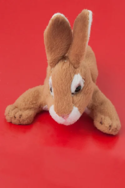 Oyuncak tavşan — Stok fotoğraf