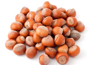 Hazelnuts clipart