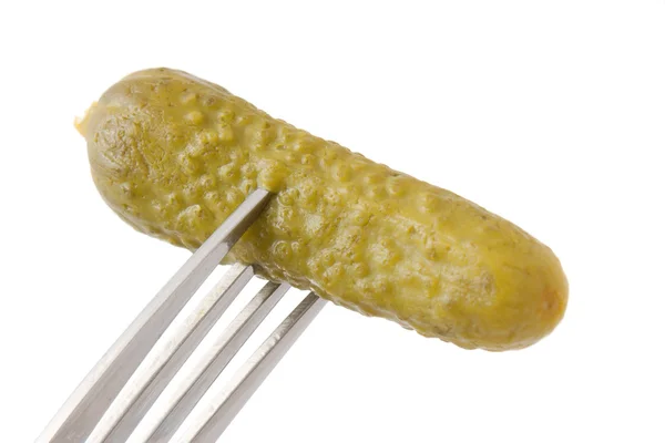 Pickle. — Fotografia de Stock