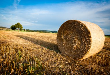 Hay Bale on a harvested Field clipart