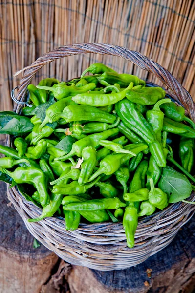 Fresh green peppers — Stock Photo, Image