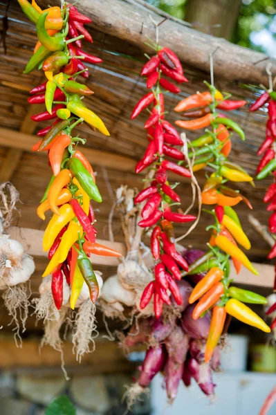 다채로운 고추와 마늘 — 스톡 사진