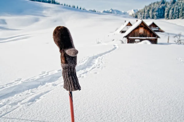 Ski Pole with mitten — Zdjęcie stockowe